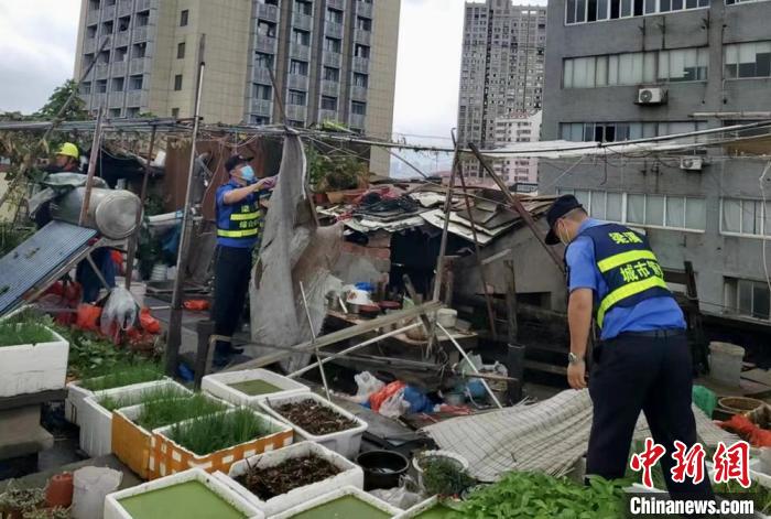 在一處居民樓屋頂，城管隊(duì)員拆除“空中菜園”?！〗疖?攝