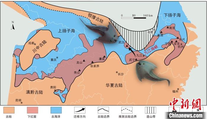 華南地區(qū)志留紀(jì)早期古地理圖和盔甲魚類化石產(chǎn)地(山顯任改自陳旭、戎嘉余，1996；戎嘉余等，2012) 中科院古脊椎所 供圖