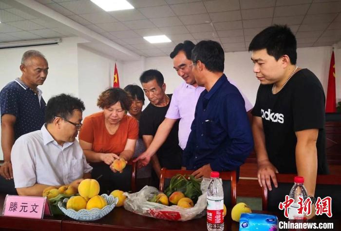 民進(jìn)浙江省委會為三里橋黃桃種植戶送技術(shù)、送指導(dǎo)。　嘉善統(tǒng)戰(zhàn) 供圖