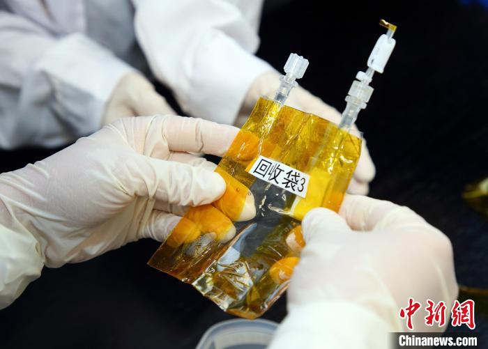 隨神舟十五號返回地面的空間科學(xué)實(shí)驗(yàn)樣品。　中科院空間應(yīng)用中心 供圖