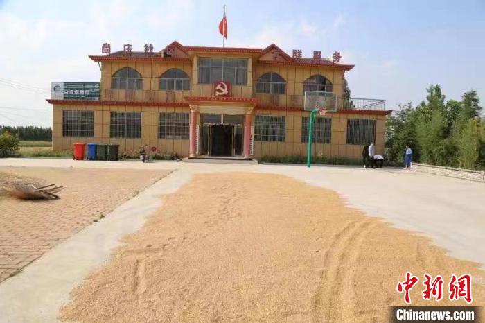 農(nóng)民在邳莊鎮(zhèn)尚莊村黨群服務(wù)中心大院里曬糧?！≠Z萌 攝