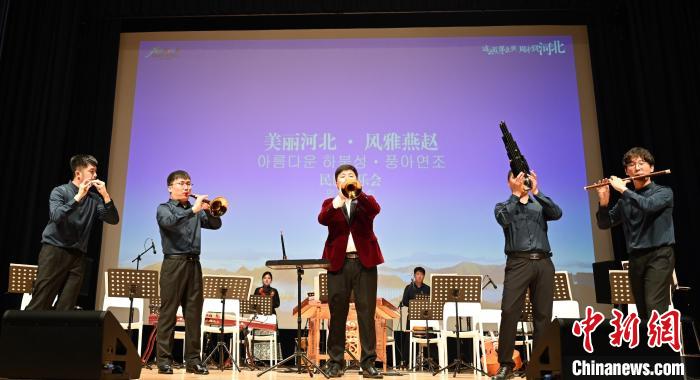 圖為音樂會現(xiàn)場?！∈谞栔袊幕行墓﹫D