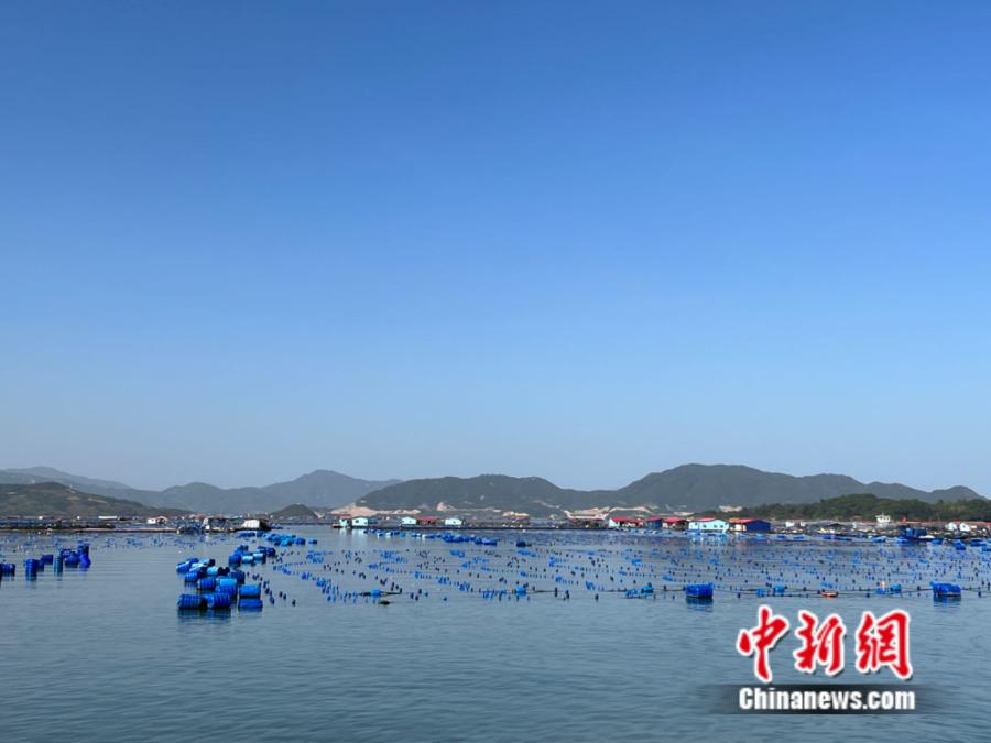霞浦縣海上魚排。<a target='_blank' href='/' ><p  align=