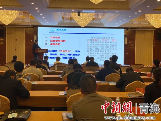圖為論壇現(xiàn)場。李江寧攝