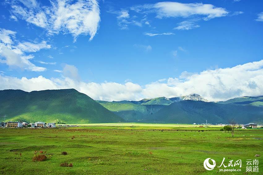 納帕海濕地風(fēng)景。呂昊辰攝