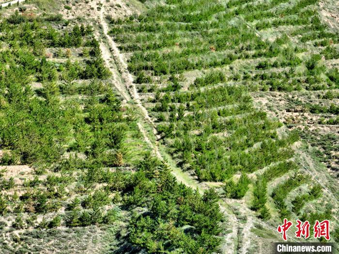 航拍建行青海省分行綠化區(qū)?！∑钤鲚?攝