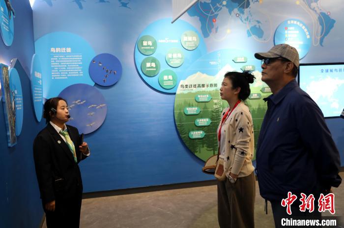圖為臺商在祁連山國家公園生態(tài)科普館內(nèi)聆聽講解?！⊙Φ?攝