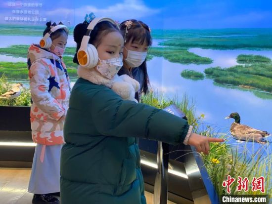 圖為學生在西寧市第一中學濕地科普宣教館內(nèi)參觀。　李江寧 攝