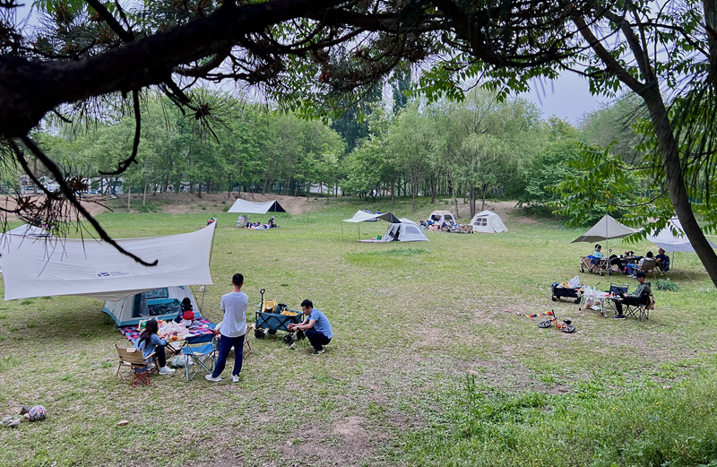 “自駕+露營”等多元模式受熱捧。人民網(wǎng)記者 王連香攝
