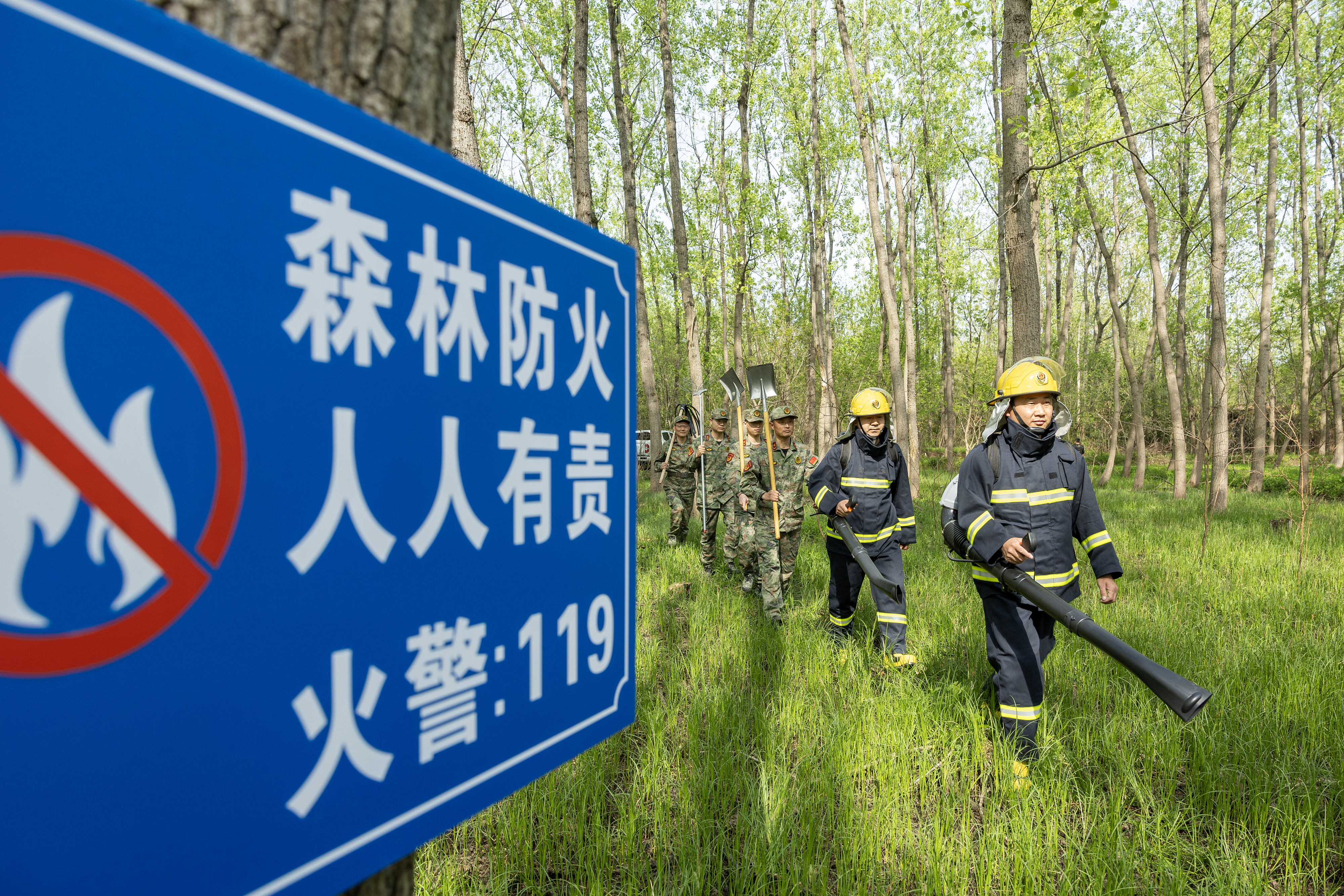 2024年4月9日，合肥市大房郢水庫水源保護(hù)地廬陽經(jīng)濟(jì)開發(fā)區(qū)段，基干民兵正在林間巡查火災(zāi)隱患。
