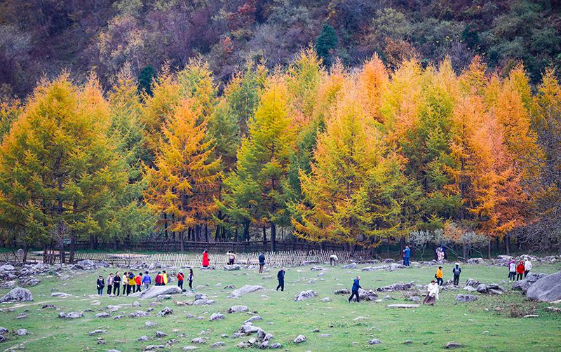 2023年10月27日，深秋時(shí)節(jié)的陜西秦嶺太子嶺漫山紅黃、色彩交織，進(jìn)入最佳觀賞期。