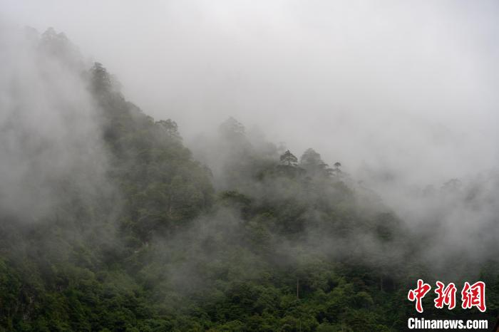 雨后勒布溝的云霧。　江飛波 攝