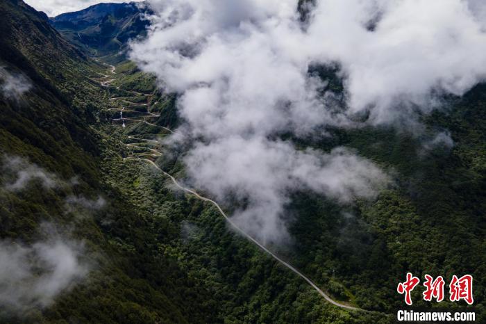 西藏山南勒布溝景區(qū)的盤山公路被云霧環(huán)繞?！〗w波 攝
