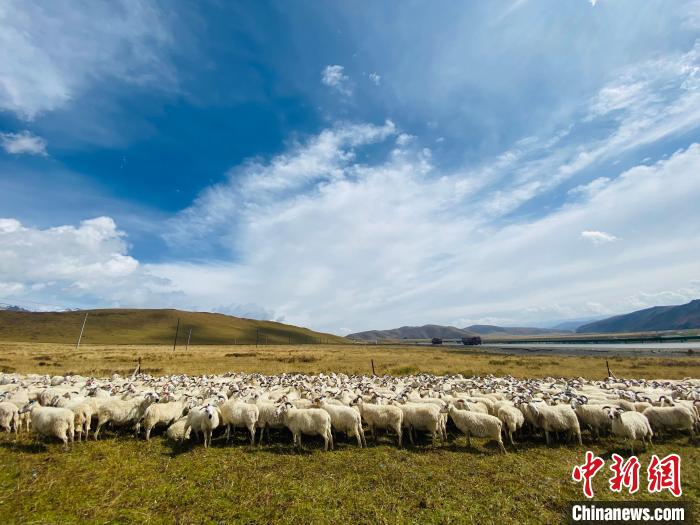 三江源國家公園：科技畜牧支撐生態(tài)保護(hù)和區(qū)域經(jīng)濟協(xié)調(diào)發(fā)展