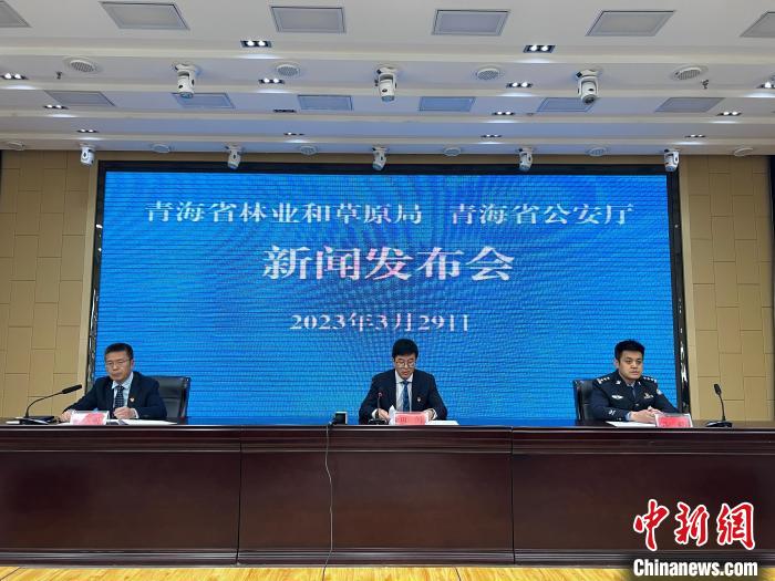 青海去年占用林地、草地準予許可件同比實現(xiàn)“雙減”