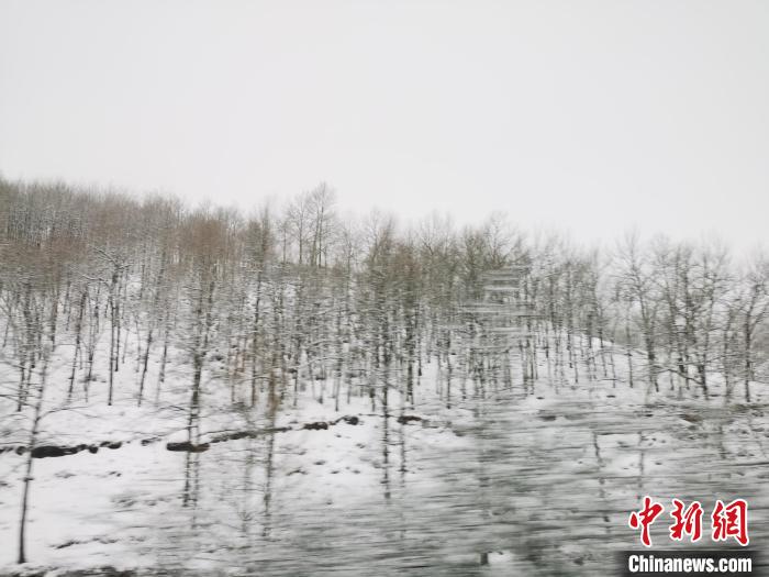 圖為青海青沙山區(qū)域被降雪覆蓋?！?zhí)砀?攝