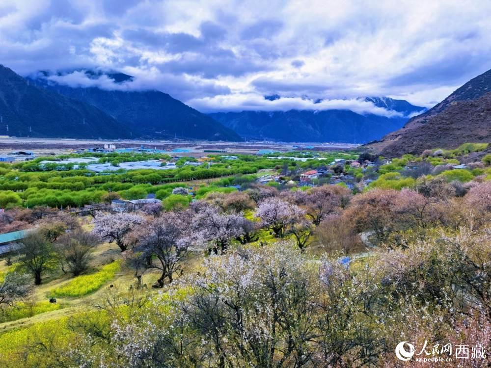 桃花從中的“童話小鎮(zhèn)”。人民網(wǎng) 李海霞攝