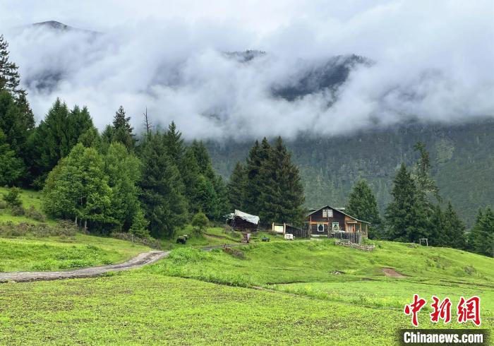 6月10日，魯朗小鎮(zhèn)高山牧場(chǎng)景區(qū)風(fēng)光?！∪轿木?攝