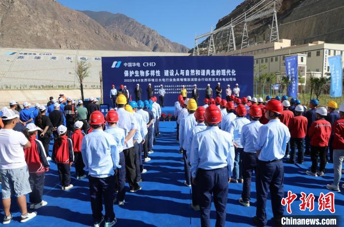 圖為蘇洼龍水電站魚類放流現(xiàn)場(chǎng)。　蘇洼龍水電站供圖
