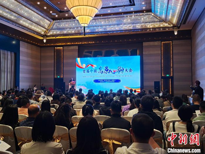 圖為首屆中國高原心胸大會現(xiàn)場?！☆D旦旺姆 攝