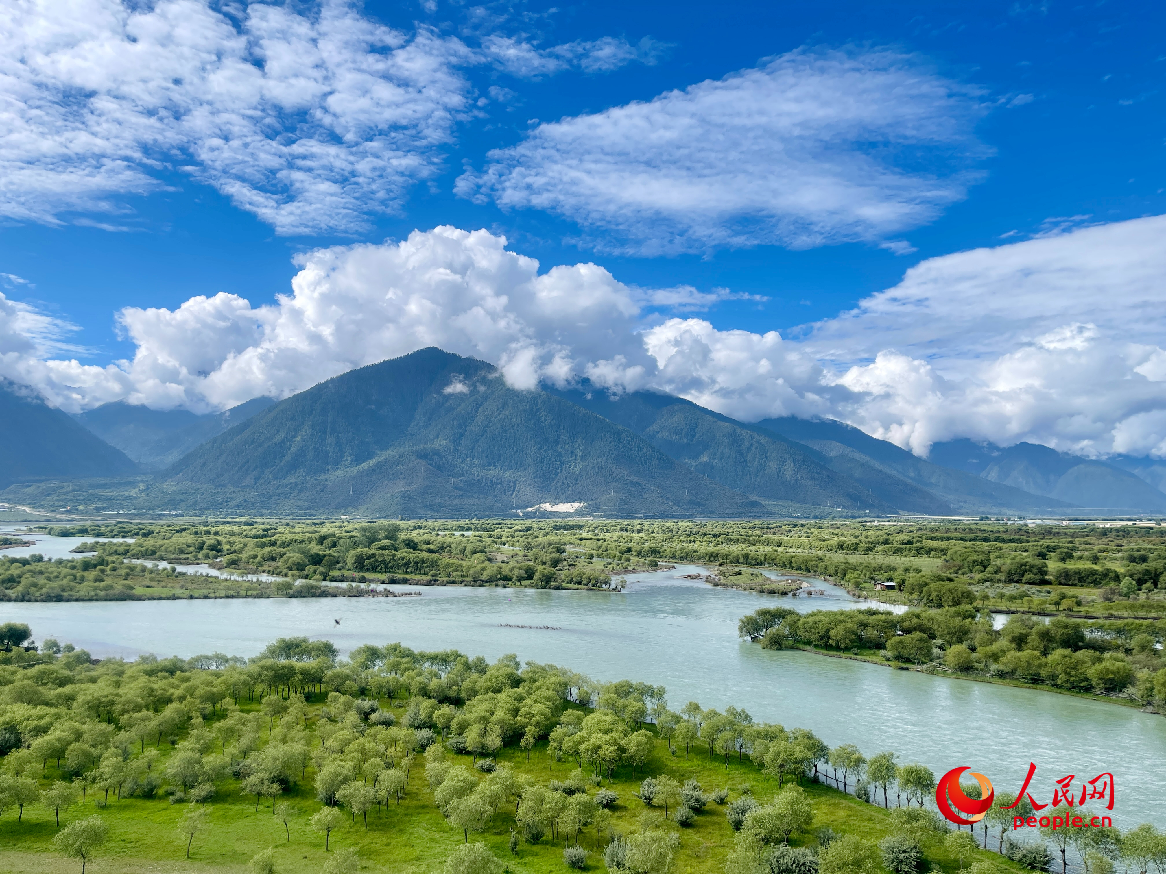 夏日的雅尼國家濕地公園生機(jī)盎然，如詩如畫。人民網(wǎng) 周靜圓攝