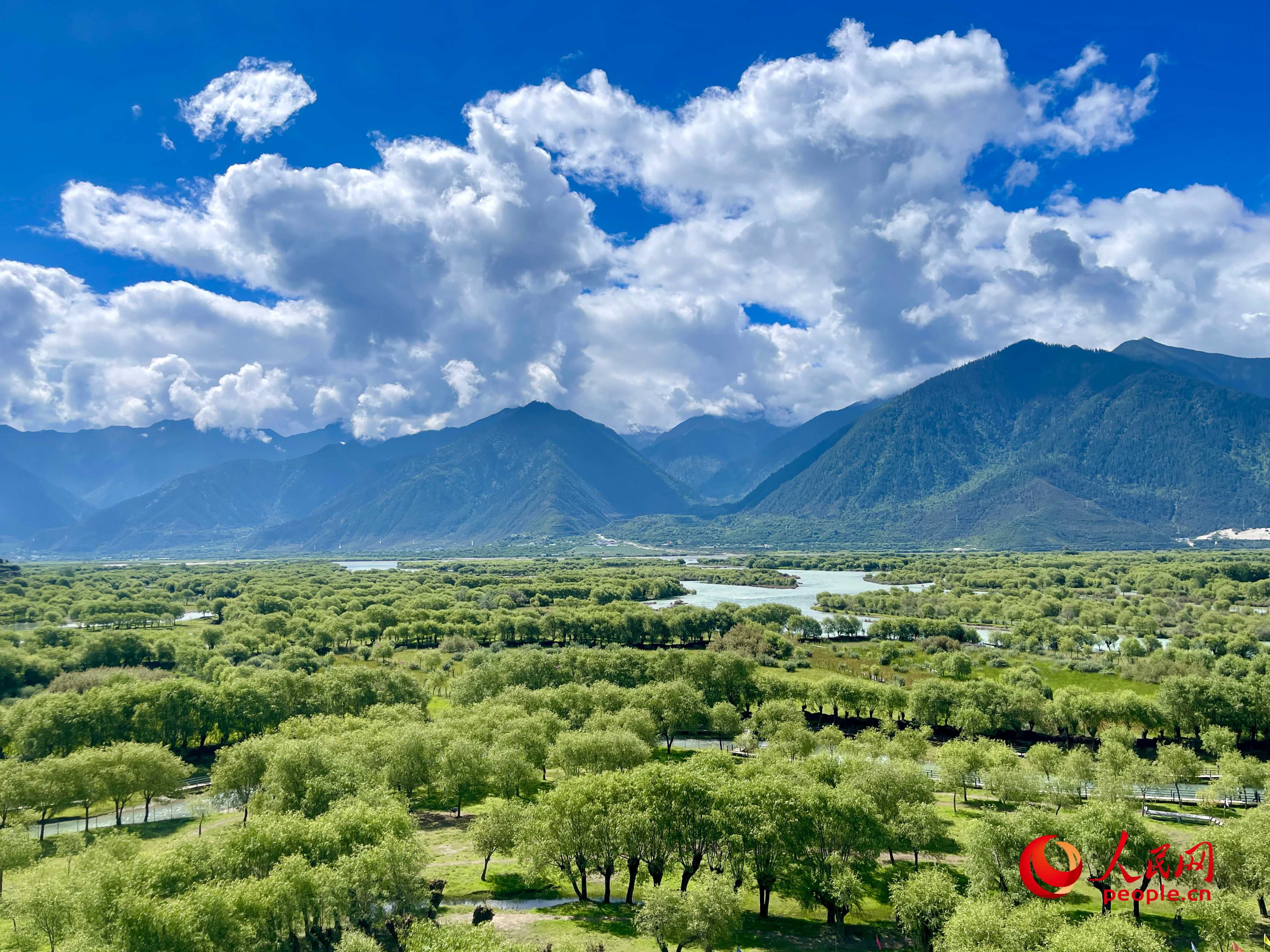 夏日的雅尼國家濕地公園生機(jī)盎然，如詩如畫。人民網(wǎng) 周靜圓攝